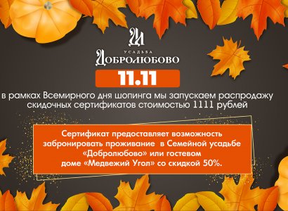 Всемирный день шопинга в «Добролюбово»