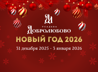 Новый год 2026 в Суздале!